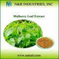 Poudre de mûres et poudre de jus de mûrier de Mulberry Leaf